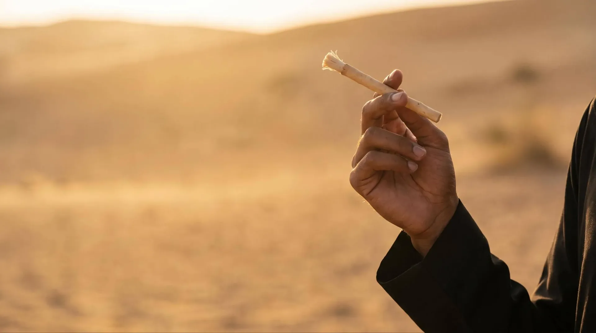 يد تحمل عود سواك في ضوء الغروب الذهبي